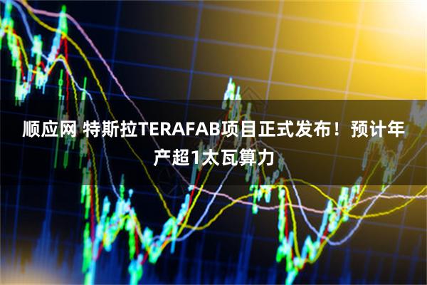 顺应网 特斯拉TERAFAB项目正式发布！预计年产超1太瓦算力